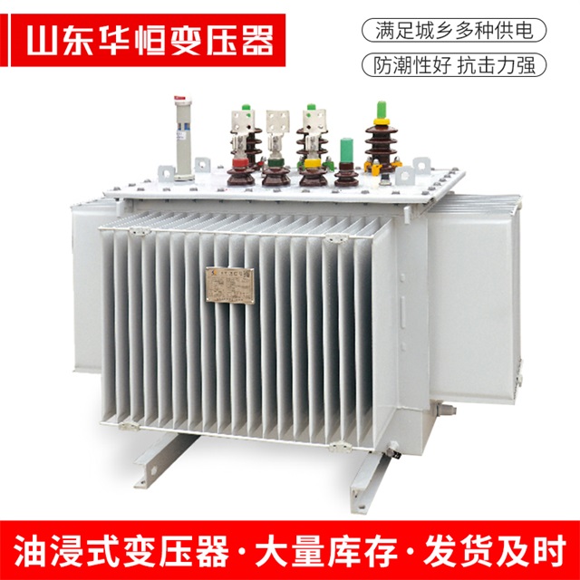 S13-10000/35当雄当雄当雄电力变压器